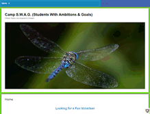 Tablet Screenshot of cswag.org